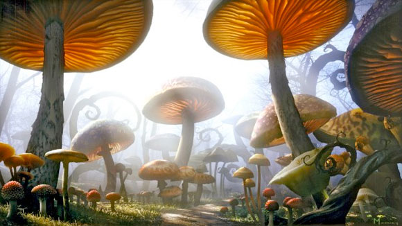 Mushrooms Forest / Foresta di funghi - Alice in Wonderland