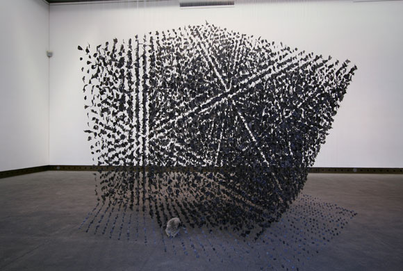 © Claire Morgan - Clearing, cube of black feathers and hedgehog, cubo di piume nere e riccio, 2009