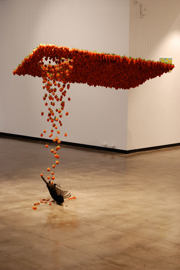 © Claire Morgan - Fluid, strawberries and a bird falling, fragole e un uccello che cade, 2009