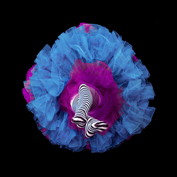 Daryl Banks - Crinoline Flowers, gonne a forma di fiore