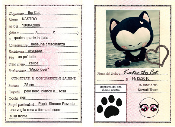 Kastro the Cat Plush Identity Card - Peluche di un gatto castrato - by Simone Roveda