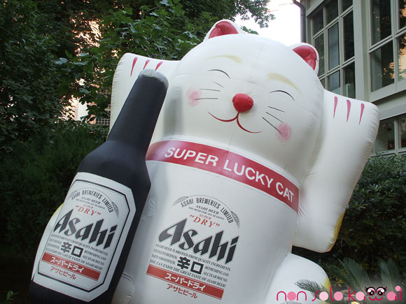 Asahi cat with beee, gatto con birra
