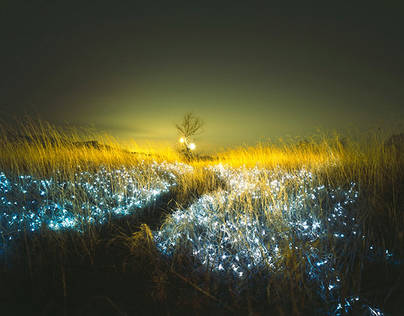 Lee Eunyeol, light design in the nature, giochi di luce nella natura