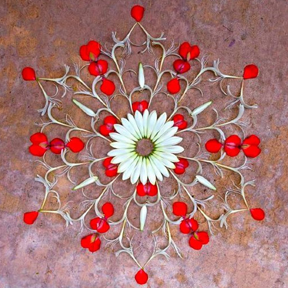 Kathy Klein - Danmala Flower Mandala