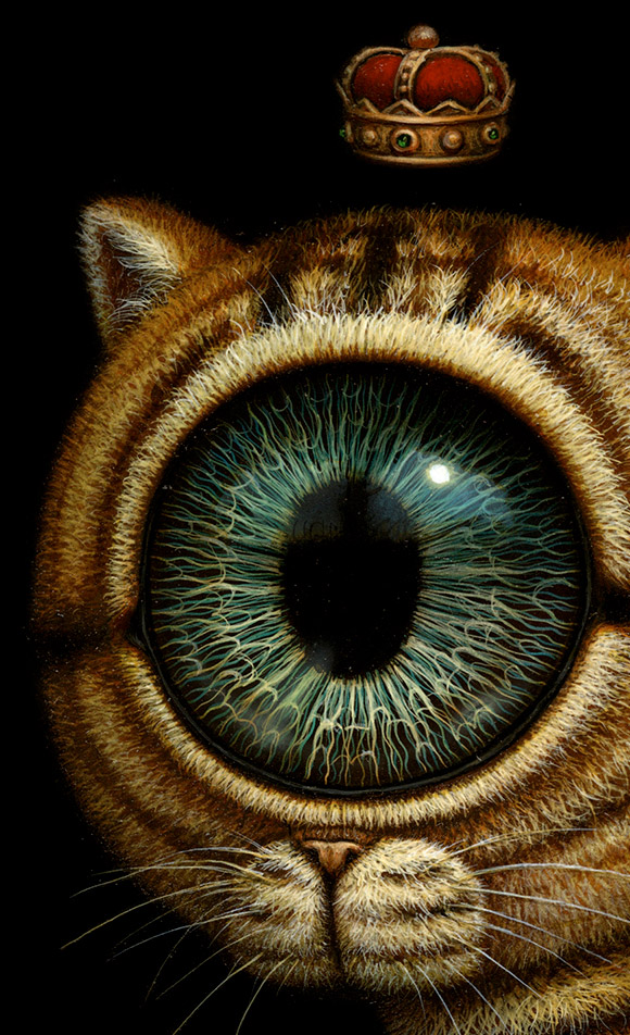 Naoto Hattori, King Eyecat - Nothing But Perception at Dorothy Circus Gallery