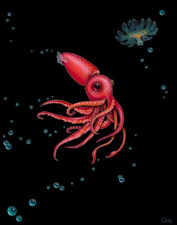 Caia Koopman - Strawberry Squid 